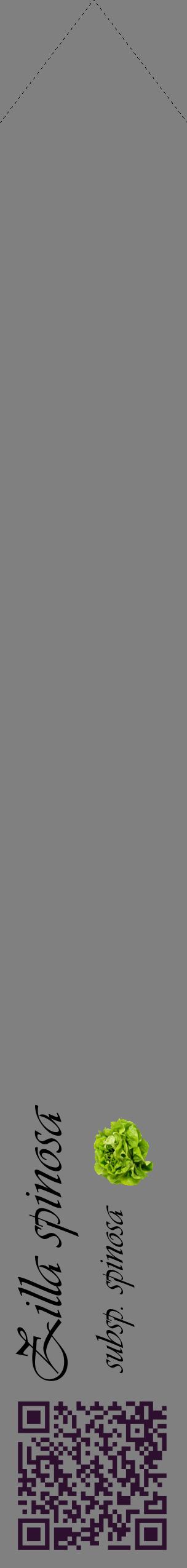 Étiquette de : Zilla spinosa subsp. spinosa - format c - style noire57_simpleviv avec qrcode et comestibilité simplifiée