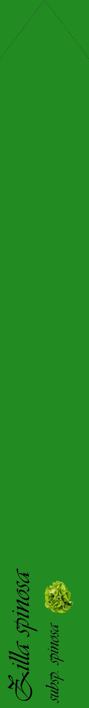 Étiquette de : Zilla spinosa subsp. spinosa - format c - style noire10_simpleviv avec comestibilité simplifiée
