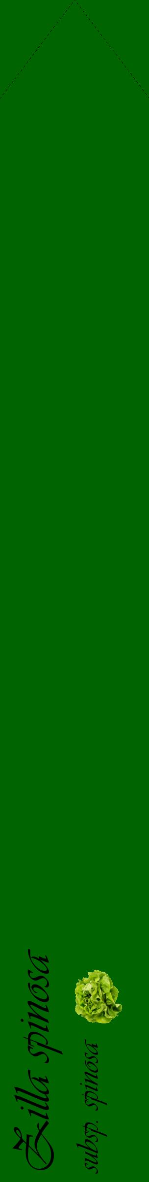 Étiquette de : Zilla spinosa subsp. spinosa - format c - style noire8_simpleviv avec comestibilité simplifiée