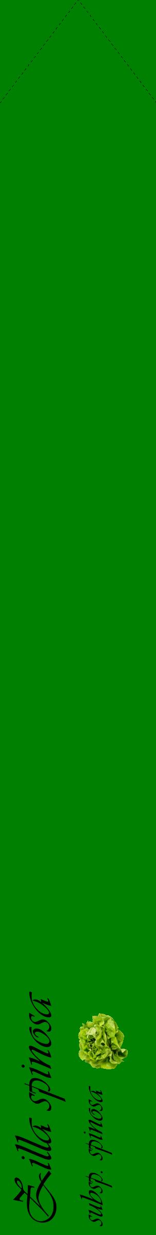 Étiquette de : Zilla spinosa subsp. spinosa - format c - style noire9_simpleviv avec comestibilité simplifiée