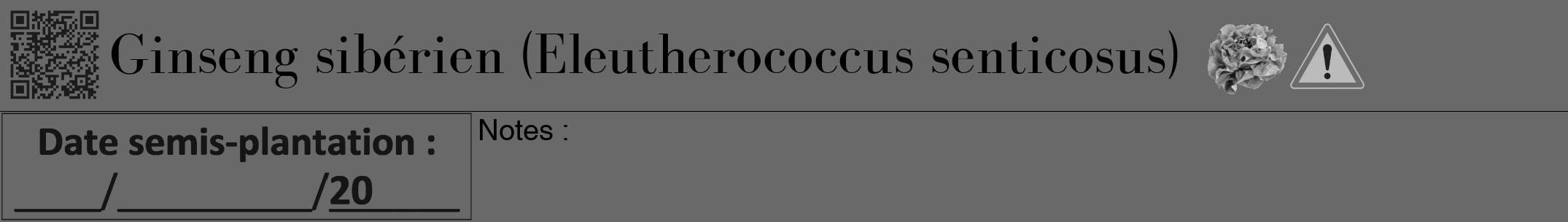 Étiquette de : Eleutherococcus senticosus - format a - style noire11bod avec qrcode et comestibilité simplifiée