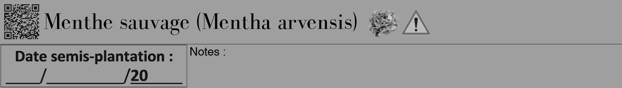 Étiquette de : Mentha arvensis - format a - style noire24bod avec qrcode et comestibilité simplifiée