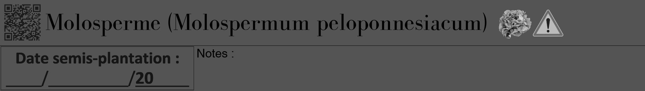 Étiquette de : Molospermum peloponnesiacum - format a - style noire30bod avec qrcode et comestibilité simplifiée
