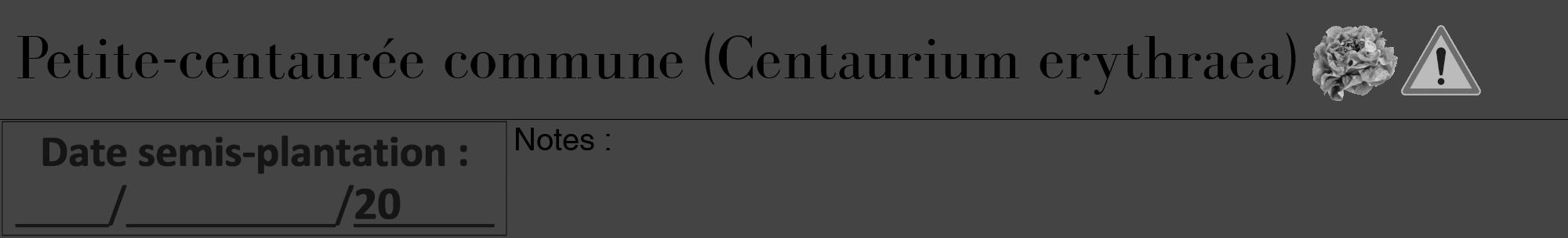 Étiquette de : Centaurium erythraea - format a - style noire48bod avec comestibilité simplifiée