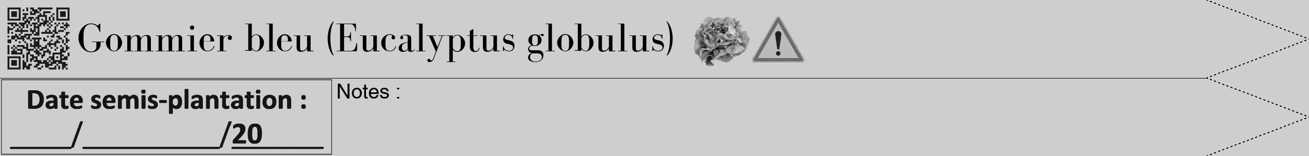 Étiquette de : Eucalyptus globulus - format b - style noire17simplebod avec qrcode et comestibilité simplifiée