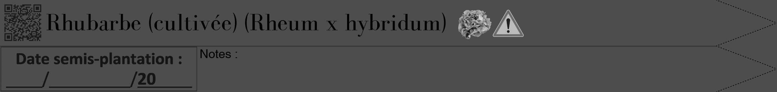 Étiquette de : Rheum x hybridum - format b - style noire28bod avec qrcode et comestibilité simplifiée
