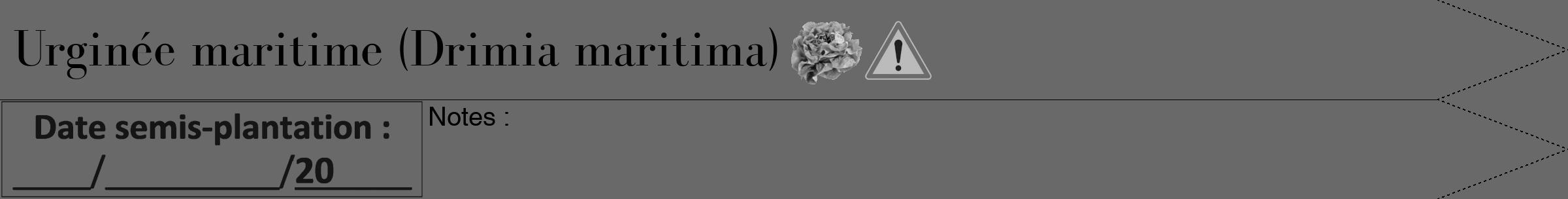 Étiquette de : Drimia maritima - format b - style noire51bod avec comestibilité simplifiée
