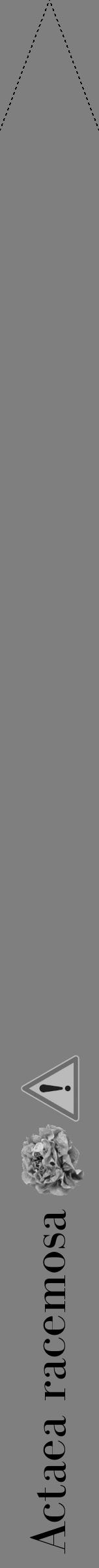 Étiquette de : Actaea racemosa - format b - style noire57bod avec comestibilité simplifiée - position verticale