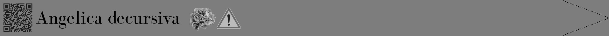 Étiquette de : Angelica decursiva - format b - style noire35simplebod avec qrcode et comestibilité simplifiée
