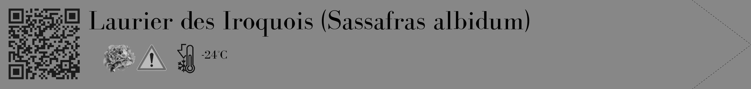 Étiquette de : Sassafras albidum - format c - style noire12_simple_simplebod avec qrcode et comestibilité simplifiée