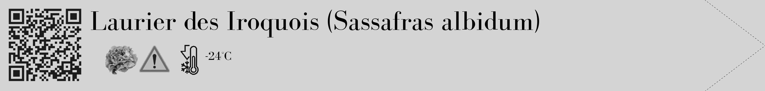 Étiquette de : Sassafras albidum - format c - style noire40_simple_simplebod avec qrcode et comestibilité simplifiée