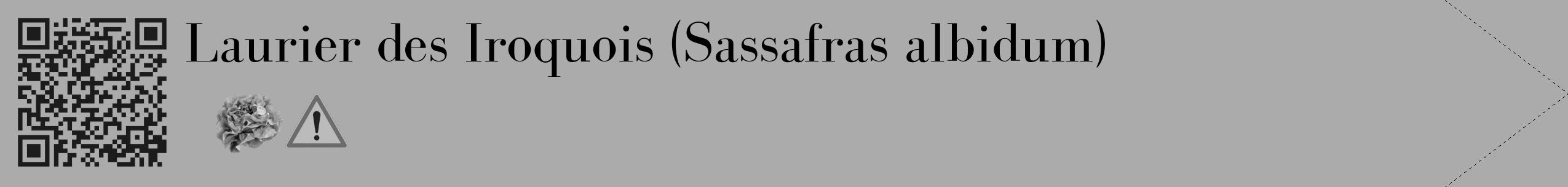 Étiquette de : Sassafras albidum - format c - style noire37_simple_simplebod avec qrcode et comestibilité simplifiée