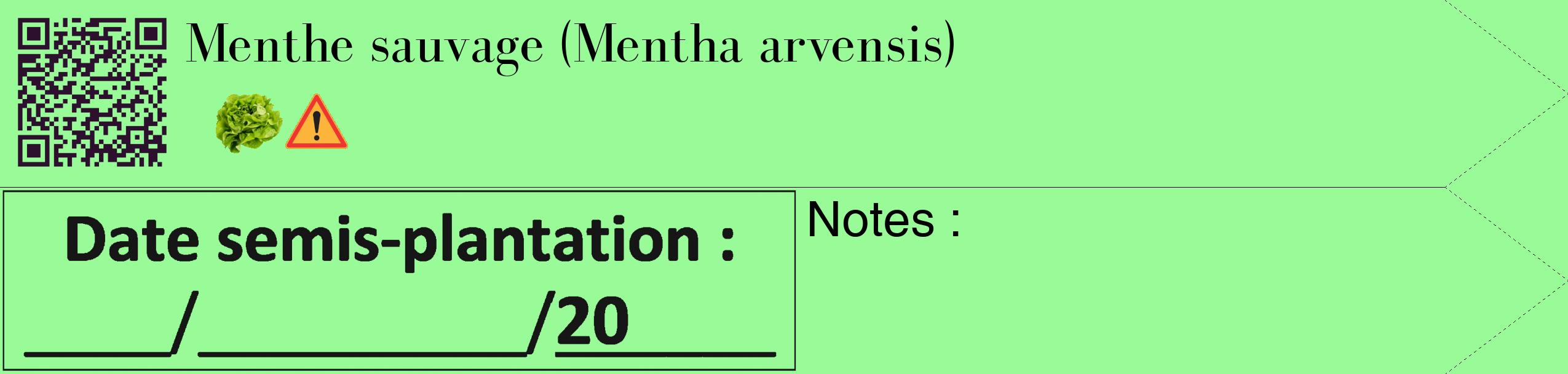 Étiquette de : Mentha arvensis - format c - style noire14_simple_simplebod avec qrcode et comestibilité simplifiée
