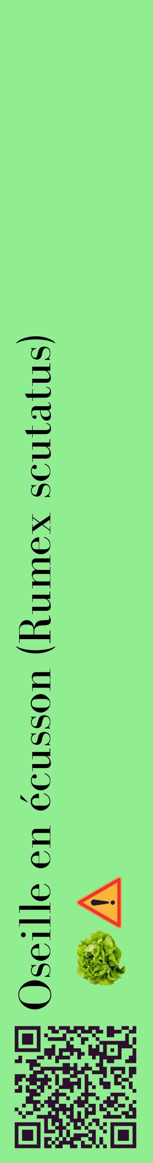 Étiquette de : Rumex scutatus - format c - style noire15_basiquebod avec qrcode et comestibilité simplifiée