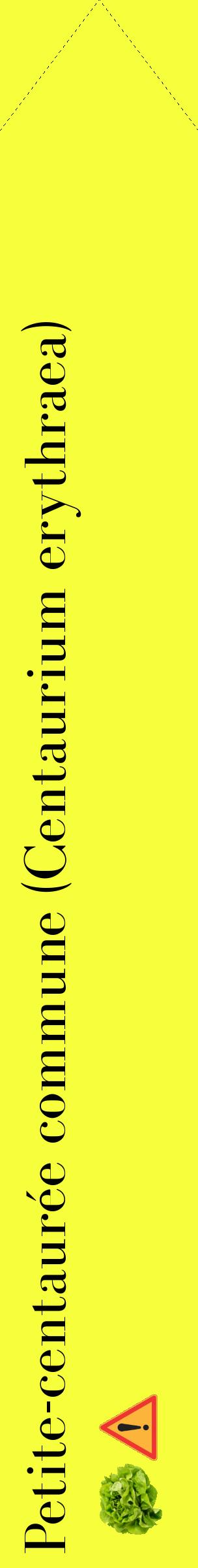 Étiquette de : Centaurium erythraea - format c - style noire18_simplebod avec comestibilité simplifiée