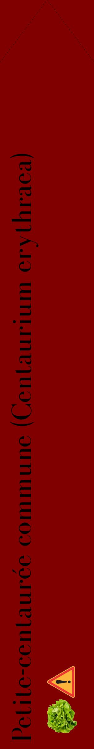 Étiquette de : Centaurium erythraea - format c - style noire29_simplebod avec comestibilité simplifiée