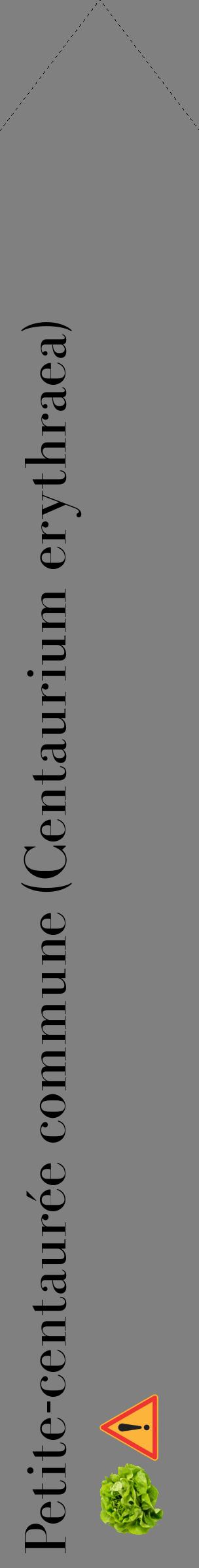 Étiquette de : Centaurium erythraea - format c - style noire57_simplebod avec comestibilité simplifiée