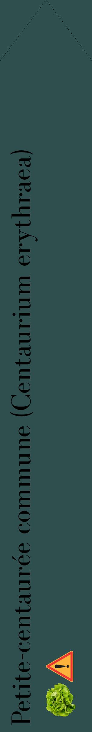 Étiquette de : Centaurium erythraea - format c - style noire58_simplebod avec comestibilité simplifiée