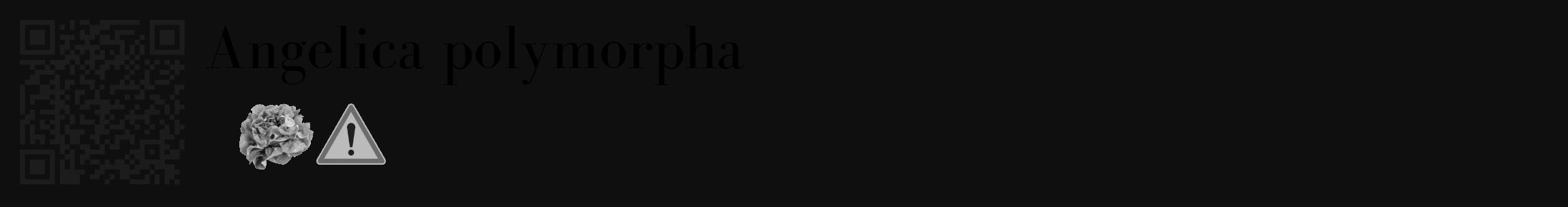 Étiquette de : Angelica polymorpha - format c - style noire7_basique_basiquebod avec qrcode et comestibilité simplifiée