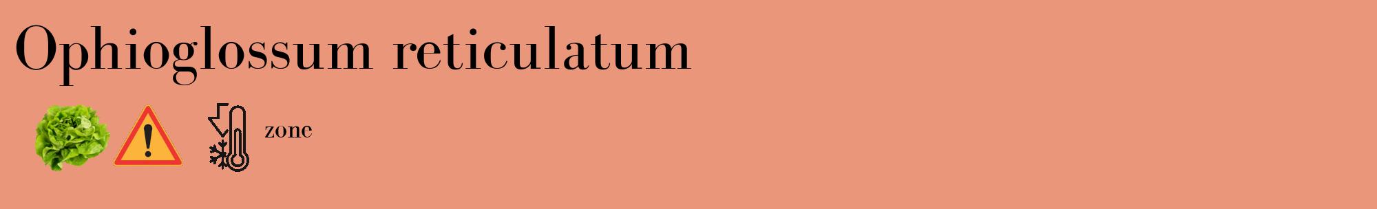 Étiquette de : Ophioglossum reticulatum - format c - style noire37_basique_basiquebod avec comestibilité simplifiée