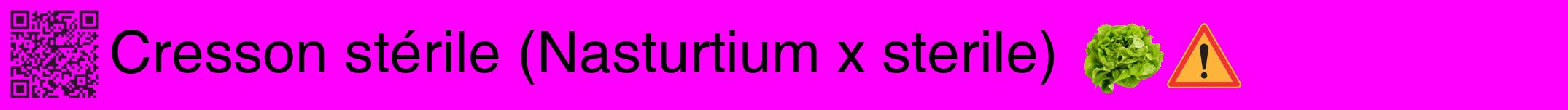 Étiquette de : Nasturtium x sterile - format a - style noire51basiquehel avec qrcode et comestibilité simplifiée