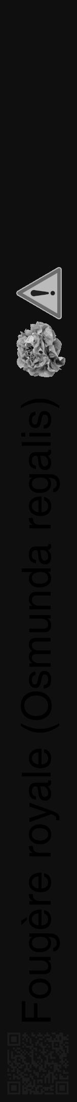 Étiquette de : Osmunda regalis - format a - style noire7hel avec qrcode et comestibilité simplifiée - position verticale