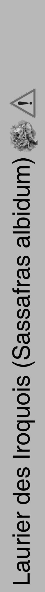 Étiquette de : Sassafras albidum - format a - style noire39hel avec comestibilité simplifiée - position verticale