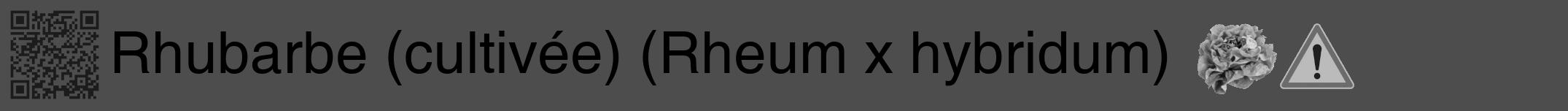 Étiquette de : Rheum x hybridum - format a - style noire28hel avec qrcode et comestibilité simplifiée