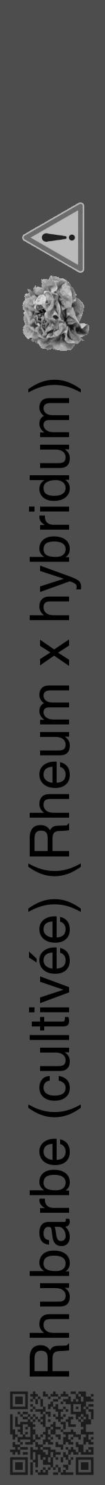 Étiquette de : Rheum x hybridum - format a - style noire28hel avec qrcode et comestibilité simplifiée - position verticale