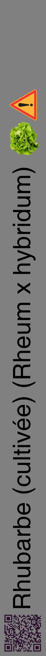 Étiquette de : Rheum x hybridum - format a - style noire57hel avec qrcode et comestibilité simplifiée