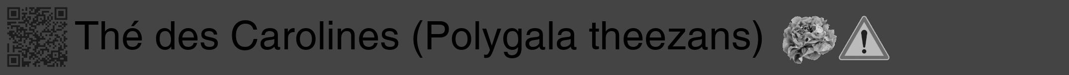 Étiquette de : Polygala theezans - format a - style noire48hel avec qrcode et comestibilité simplifiée