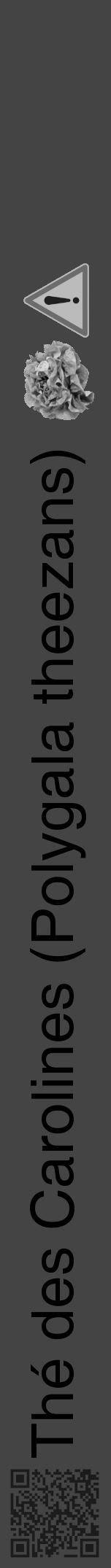 Étiquette de : Polygala theezans - format a - style noire48hel avec qrcode et comestibilité simplifiée - position verticale