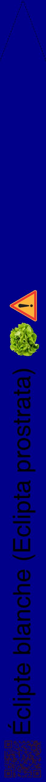Étiquette de : Eclipta prostrata - format b - style noire7hel avec qrcode et comestibilité simplifiée