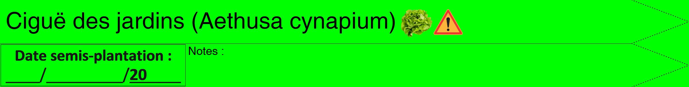 Étiquette de : Aethusa cynapium - format b - style noire16hel avec comestibilité simplifiée