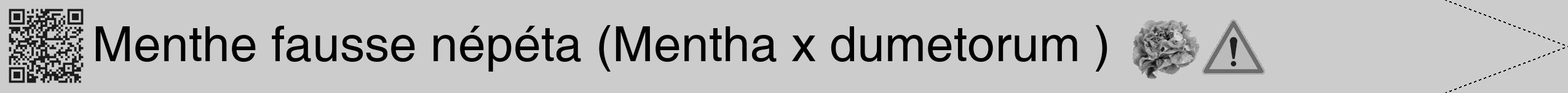 Étiquette de : Mentha x dumetorum  - format b - style noire0hel avec qrcode et comestibilité simplifiée