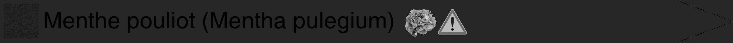 Étiquette de : Mentha pulegium - format b - style noire29hel avec qrcode et comestibilité simplifiée