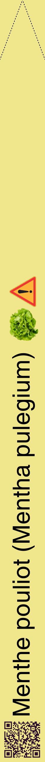 Étiquette de : Mentha pulegium - format b - style noire20hel avec qrcode et comestibilité simplifiée