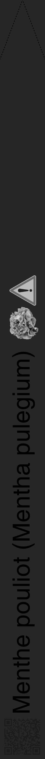 Étiquette de : Mentha pulegium - format b - style noire29hel avec qrcode et comestibilité simplifiée - position verticale