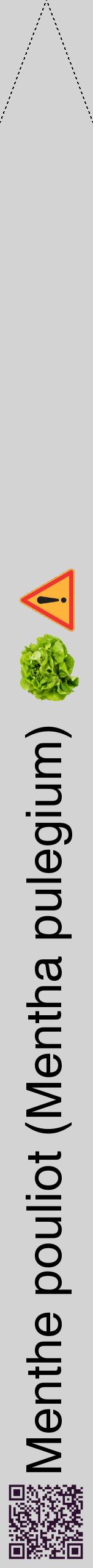Étiquette de : Mentha pulegium - format b - style noire56hel avec qrcode et comestibilité simplifiée