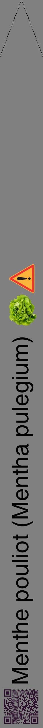 Étiquette de : Mentha pulegium - format b - style noire57hel avec qrcode et comestibilité simplifiée