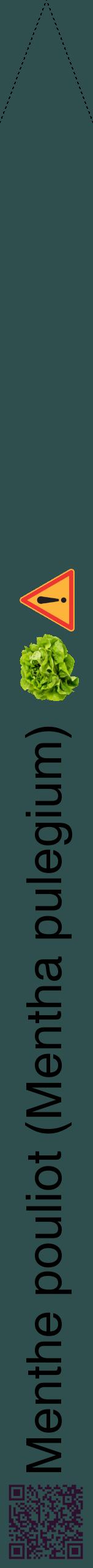 Étiquette de : Mentha pulegium - format b - style noire58hel avec qrcode et comestibilité simplifiée