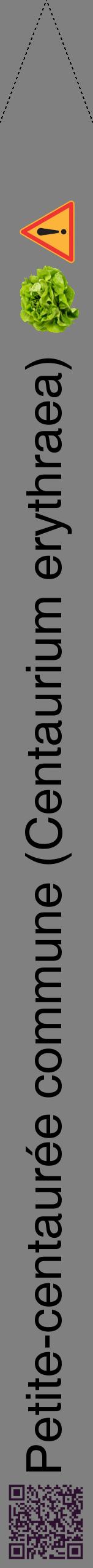 Étiquette de : Centaurium erythraea - format b - style noire57hel avec qrcode et comestibilité simplifiée