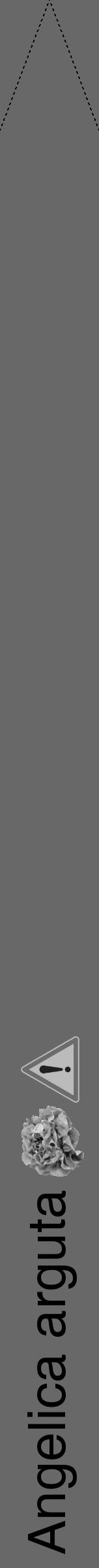 Étiquette de : Angelica arguta - format b - style noire43hel avec comestibilité simplifiée - position verticale