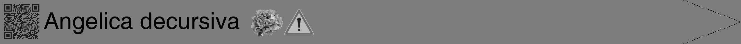 Étiquette de : Angelica decursiva - format b - style noire35simplehel avec qrcode et comestibilité simplifiée