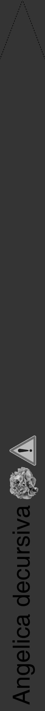 Étiquette de : Angelica decursiva - format b - style noire46hel avec comestibilité simplifiée - position verticale