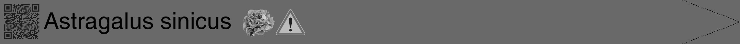 Étiquette de : Astragalus sinicus - format b - style noire51simplehel avec qrcode et comestibilité simplifiée
