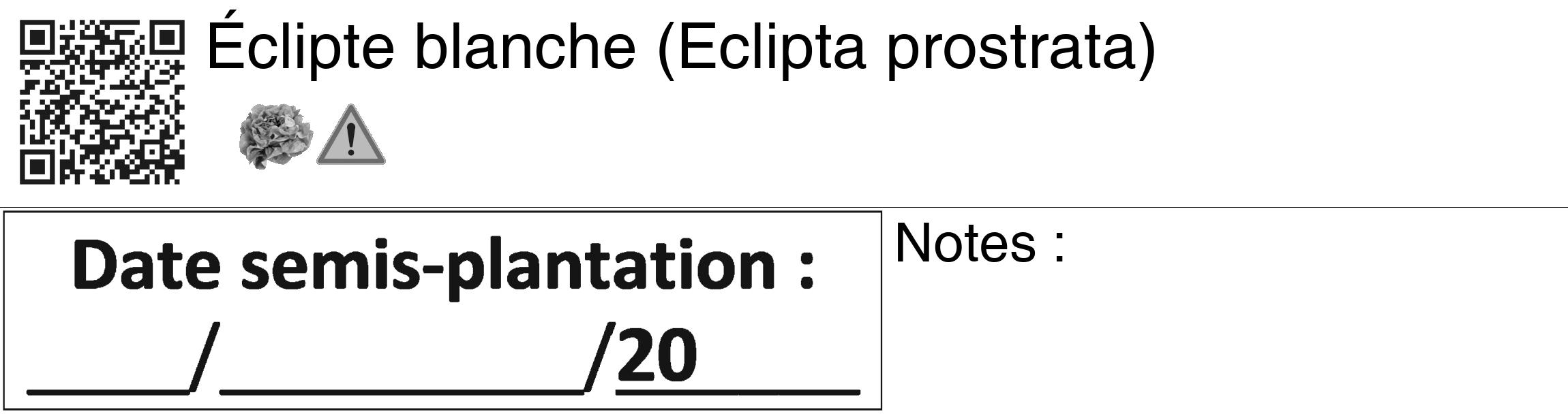 Étiquette de : Eclipta prostrata - format c - style noire60_basiquegrrvhel avec qrcode et comestibilité simplifiée