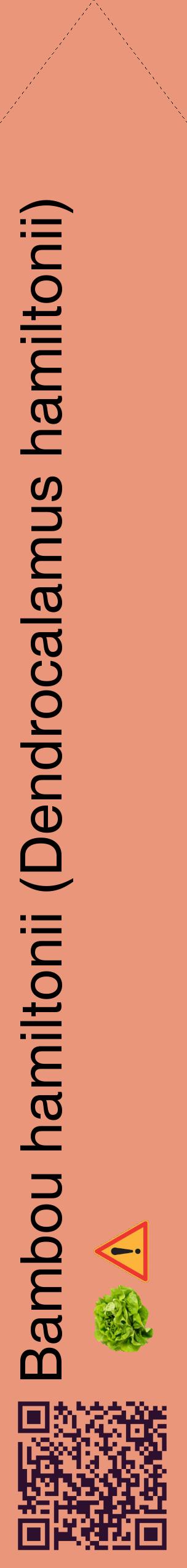 Étiquette de : Dendrocalamus hamiltonii - format c - style noire37_simplehel avec qrcode et comestibilité simplifiée