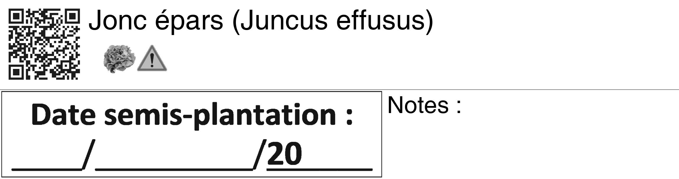 Étiquette de : Juncus effusus - format c - style noire60_basiquegrrvhel avec qrcode et comestibilité simplifiée