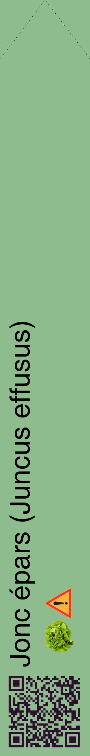Étiquette de : Juncus effusus - format c - style noire13_simplehel avec qrcode et comestibilité simplifiée